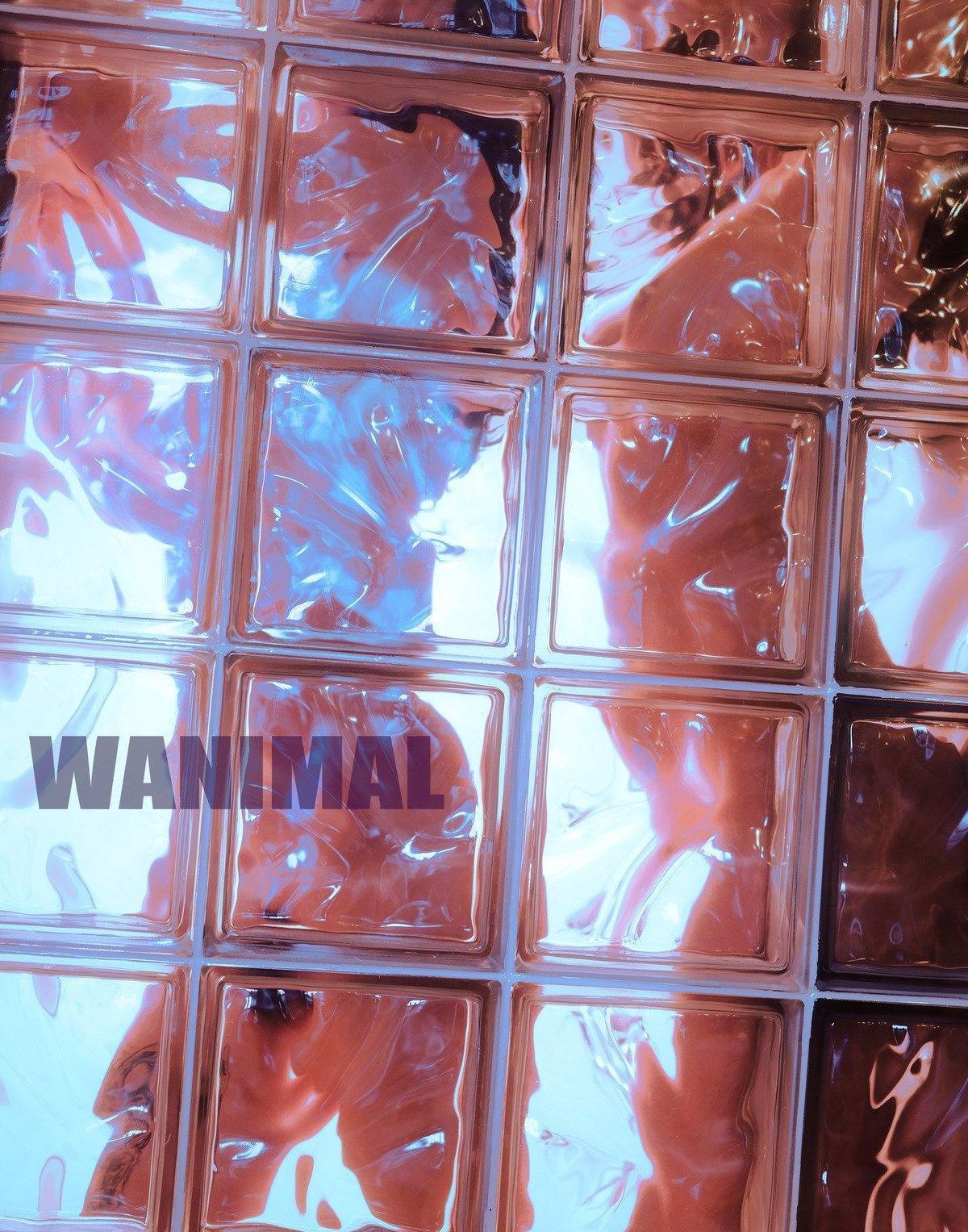 ]WANIMAL VOL.103  ռ Ʒģ  Tumblrд ģ 5ҳ