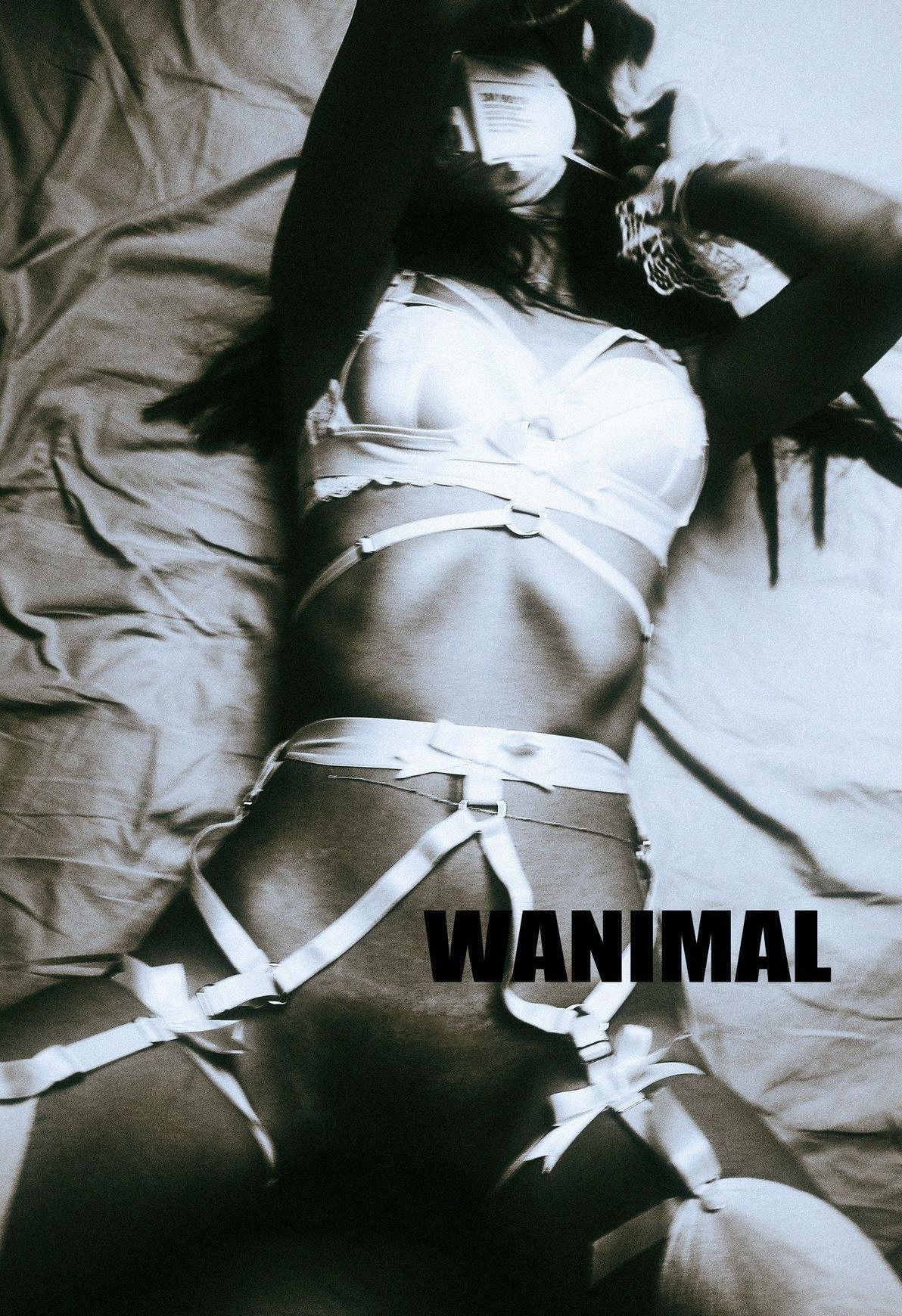 VOL.103 ]WANIMAL  Ʒģ ռ Tumblrд ģ 6ҳ