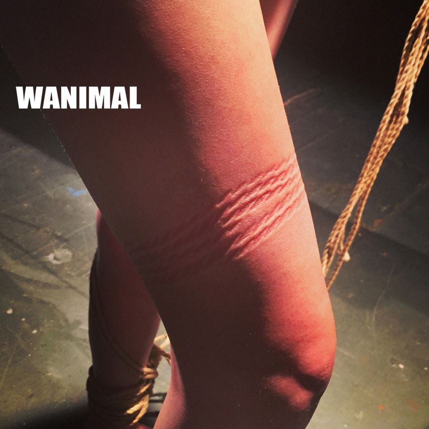 WANIMALƷ (ʮ) ʥ [64P] ͼ 1ҳ