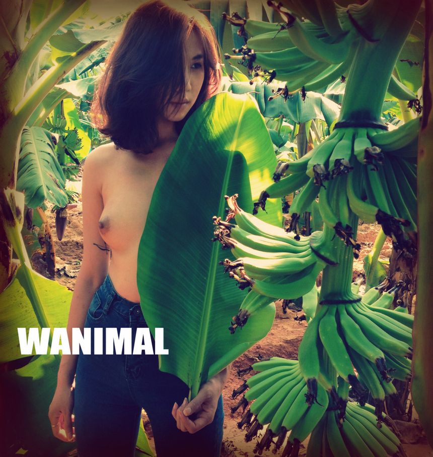 ͼ () ʥ [130P] WANIMALƷ 6ҳ