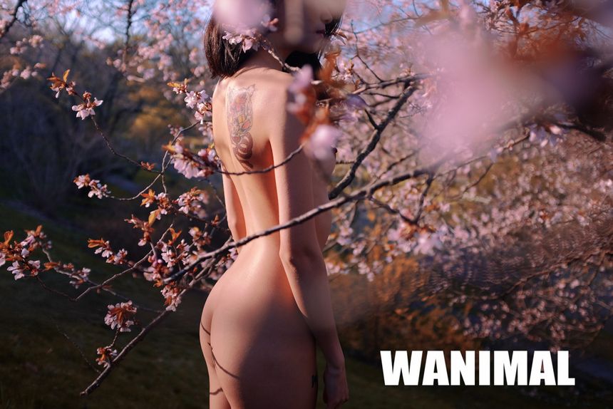 ʥ () WANIMALƷ [70P] ͼ 10ҳ