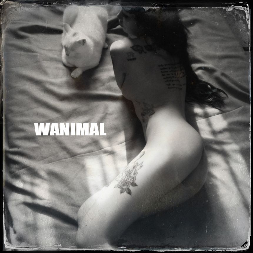 WANIMALƷ ʥ ͼ[125P] 11ҳ