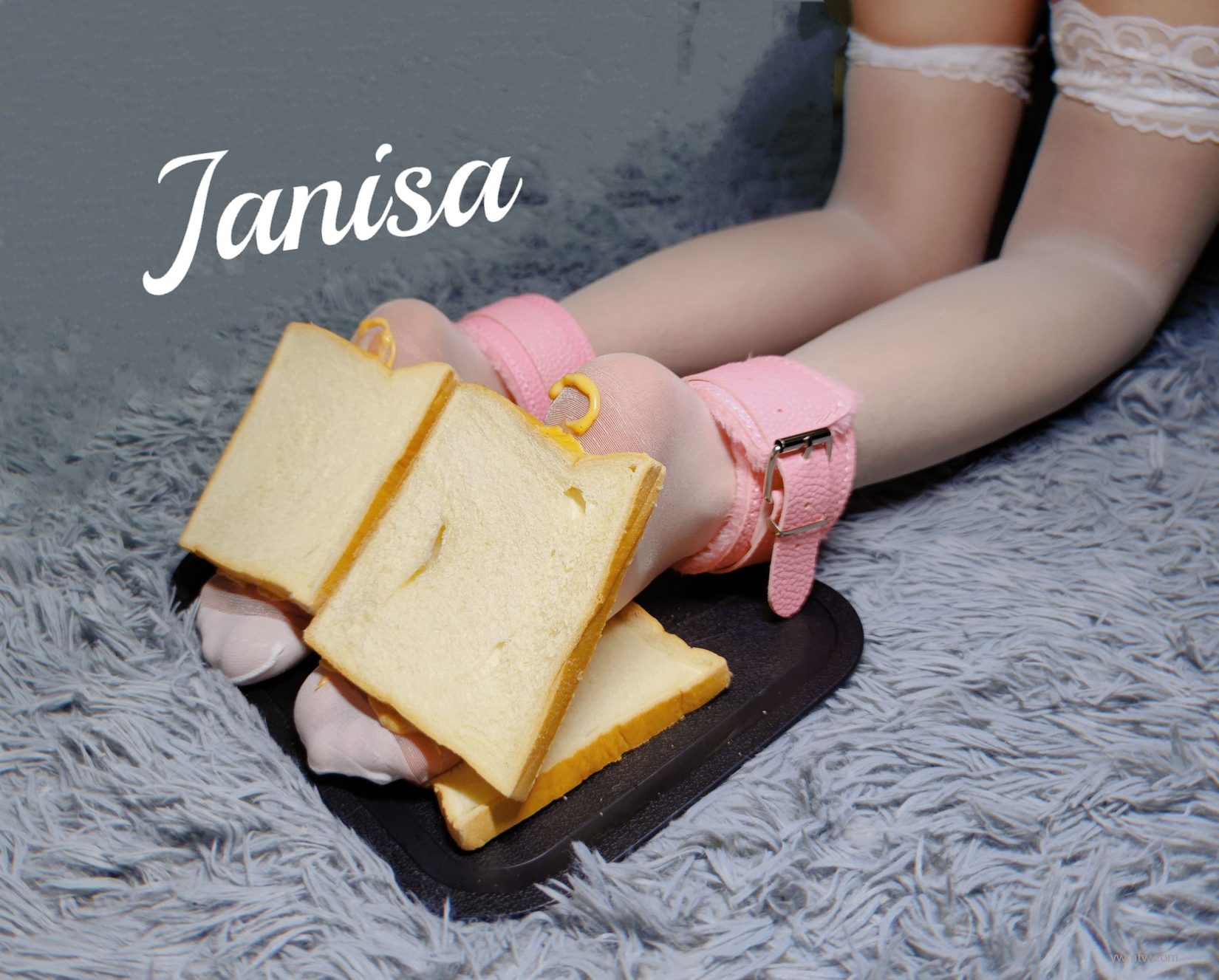 Janisa ɫŮд ˽ͼ  1ҳ